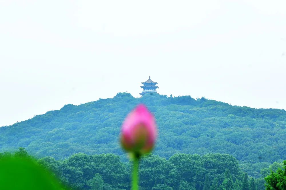 微信圖片_20220710154902.jpg