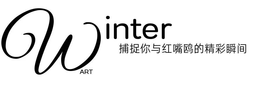 微信圖片_20250220223812.jpg