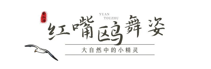 微信圖片_20250220224331.jpg