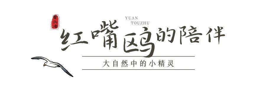 微信圖片_20250220224341.jpg