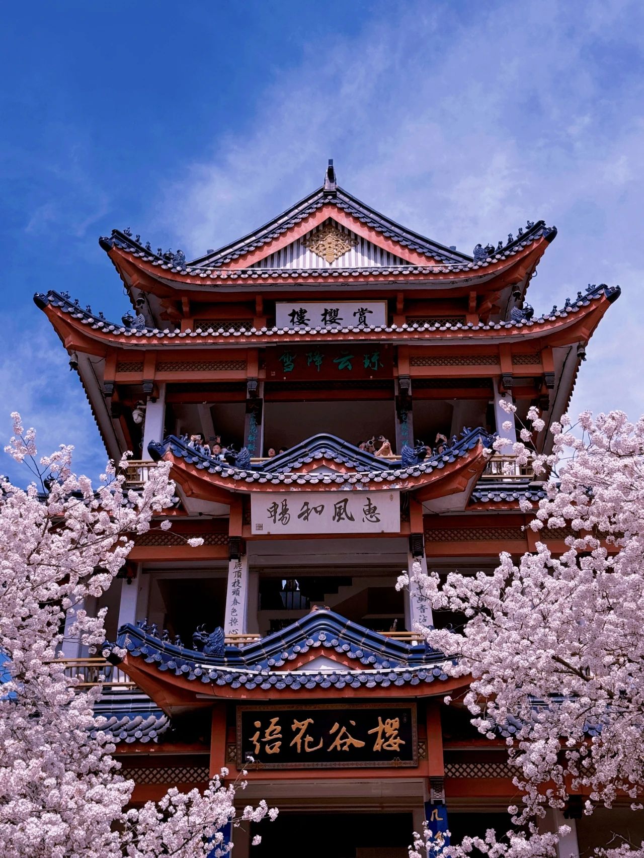 微信圖片_20250316204704.jpg