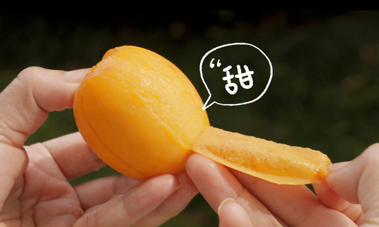 微信圖片_20250521181312.png